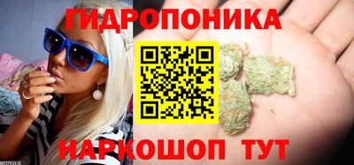 дживик Нарткала