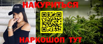 крисы Новозыбков