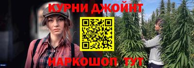 крисы Новозыбков