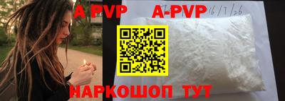 крисы Новозыбков