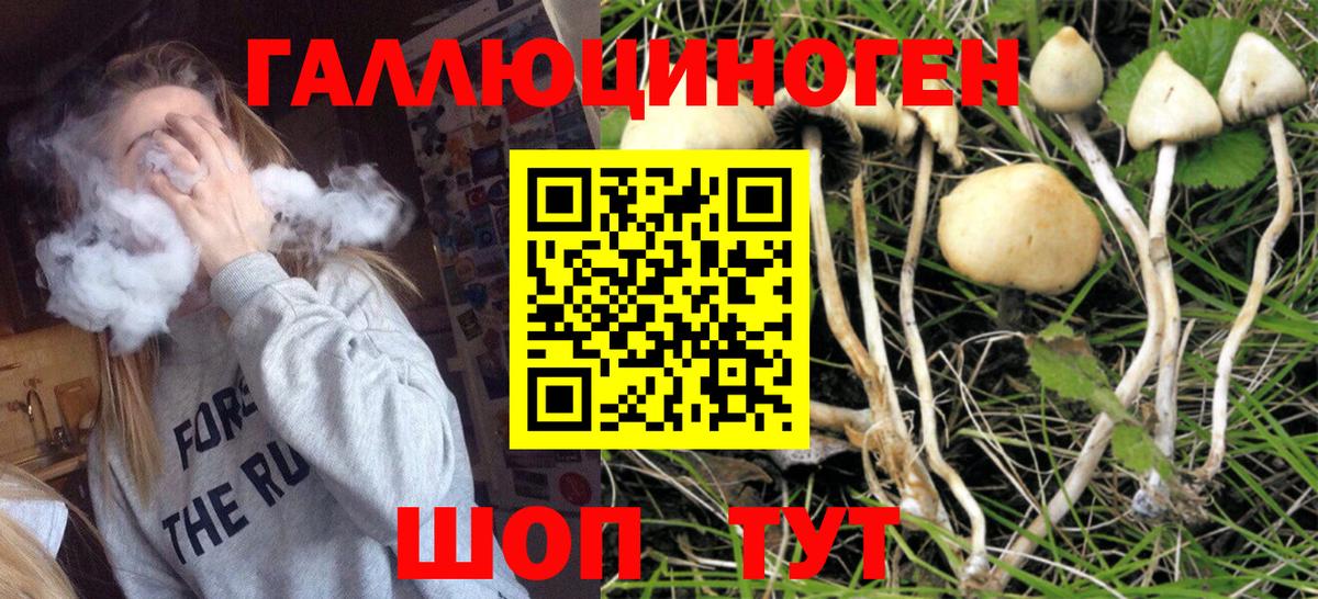 Псилоцибиновые грибы GOLDEN TEACHER Тольятти