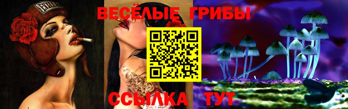 Тольятти  закладка  Вход с VPN  Галлюциногенные грибы Cubensis 